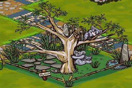 ZooMumba Koala