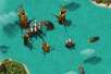 Allianzen sind bei Pirate Storm besonders wichtig